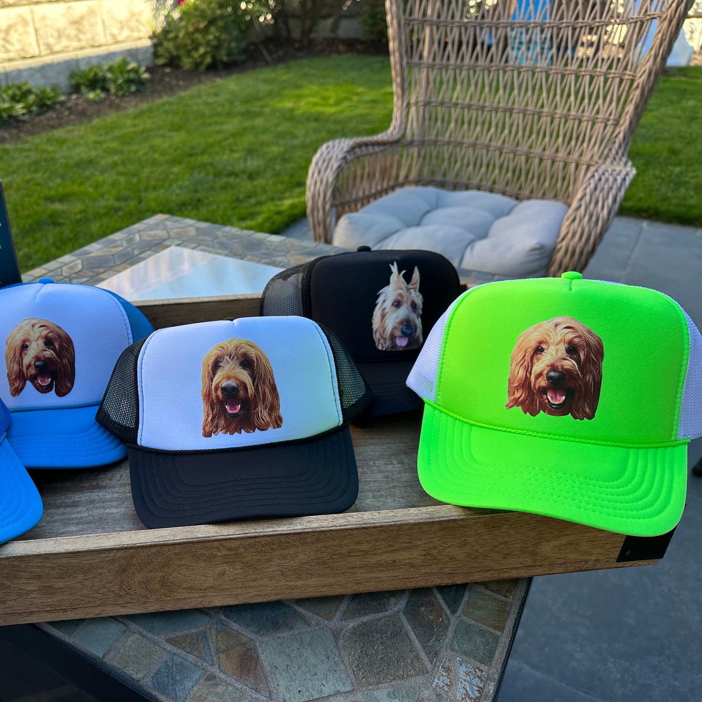 Custom Pet Hat