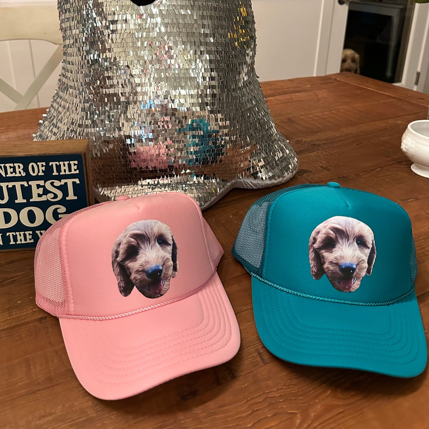 Custom Pet Hat